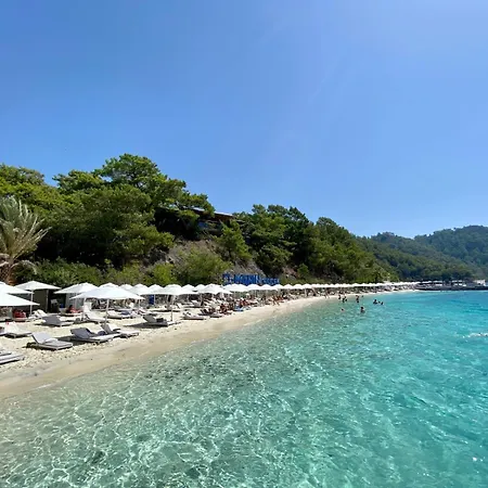Nest Largely Designed Private With Pool & Garden In 4* Göcek